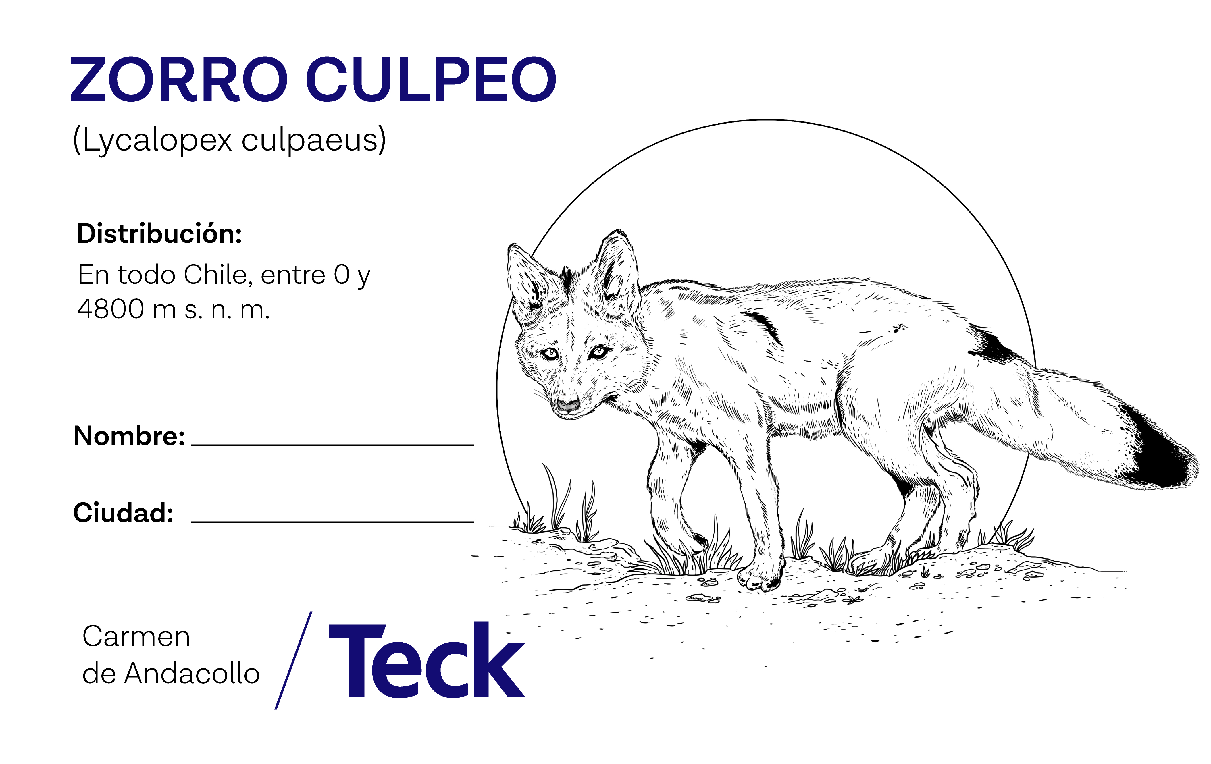 ilustraciones